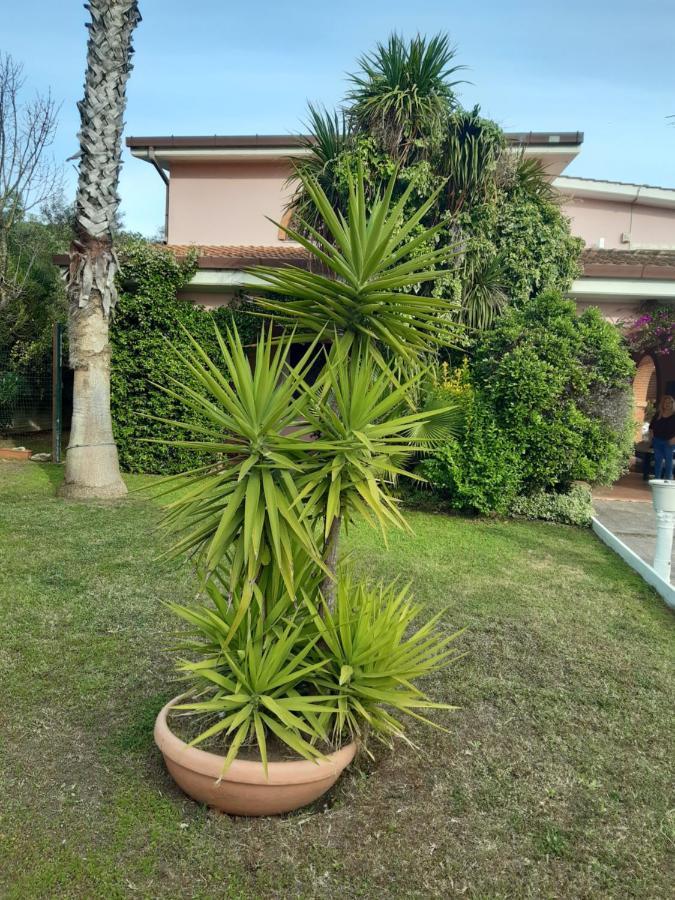 B&B Villa Giovanni Casal Palocco Exterior foto